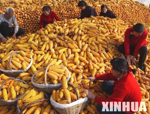 中国粮食与人口问题_中国人口问题系列文章18 粮食安全不是限制生育的理由(2)