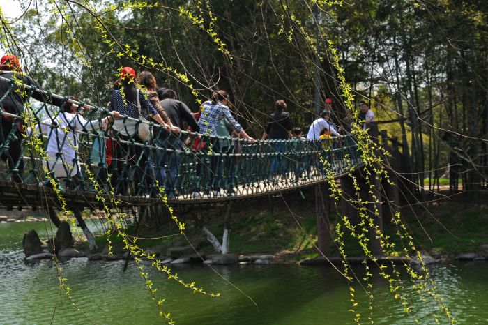 浙江安吉旅游景点_2018年安吉旅游收入(3)
