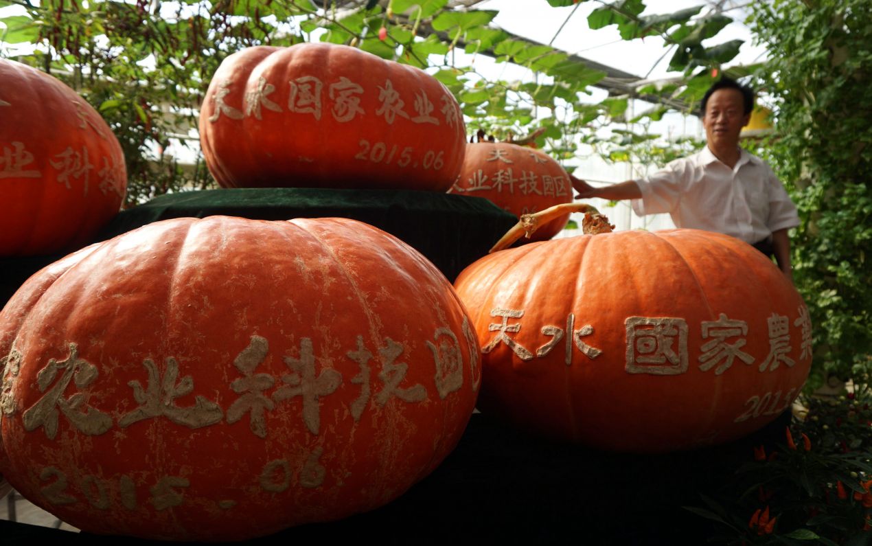 作为我国西部航天(太空)育种基地,甘肃天水国家农业科技园区目前已