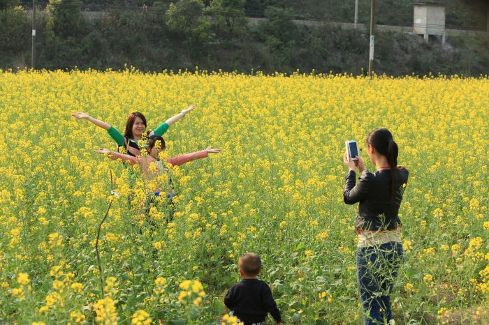 3月5日,在广西融安县长安镇大坡村,游客在油菜花花海中留影.新华社