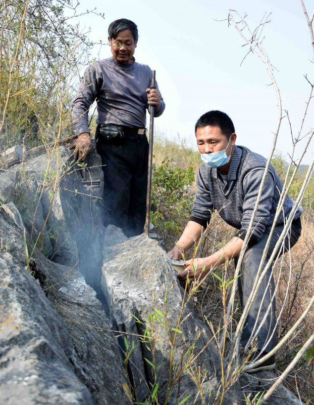 在广西恭城瑶族自治县恭城镇门楼村,潘彦君(右)和父亲在用烟熏蜂巢