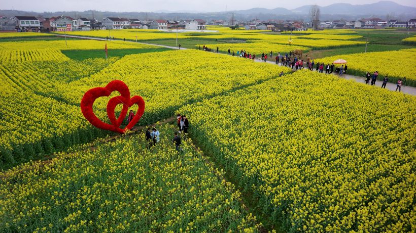 3月20日,游客在陜西省汉中市西乡县堰口镇水东村观赏盛开的油菜花.