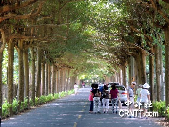 屏东县潮州镇的"泗林健走步道"吸引中外游客(中评社 赵家麟摄)