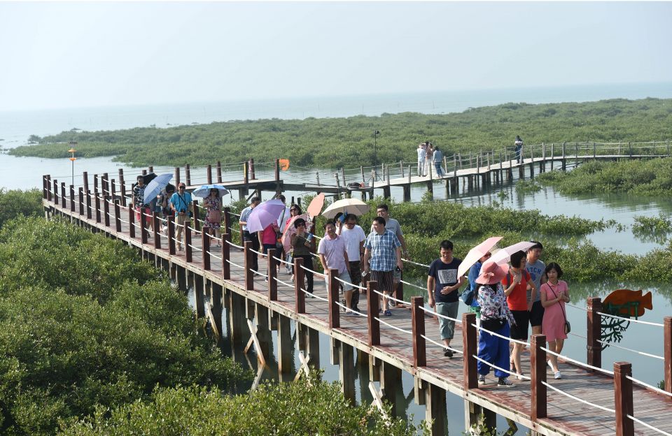 10月17日,游客在广西北海市金海湾红树林生态休闲区游览观光.新华社
