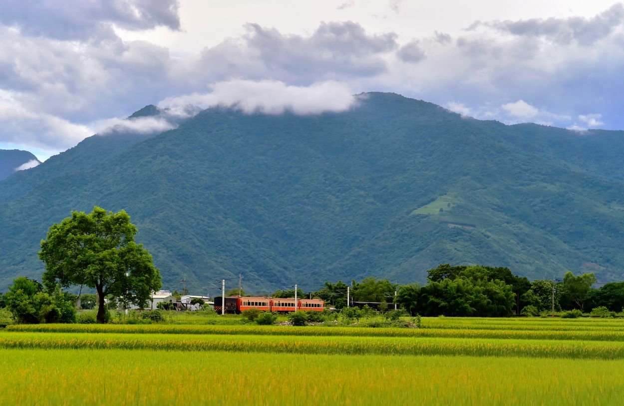 台东池上:和蒋勋一起发现自然秩序(组图)