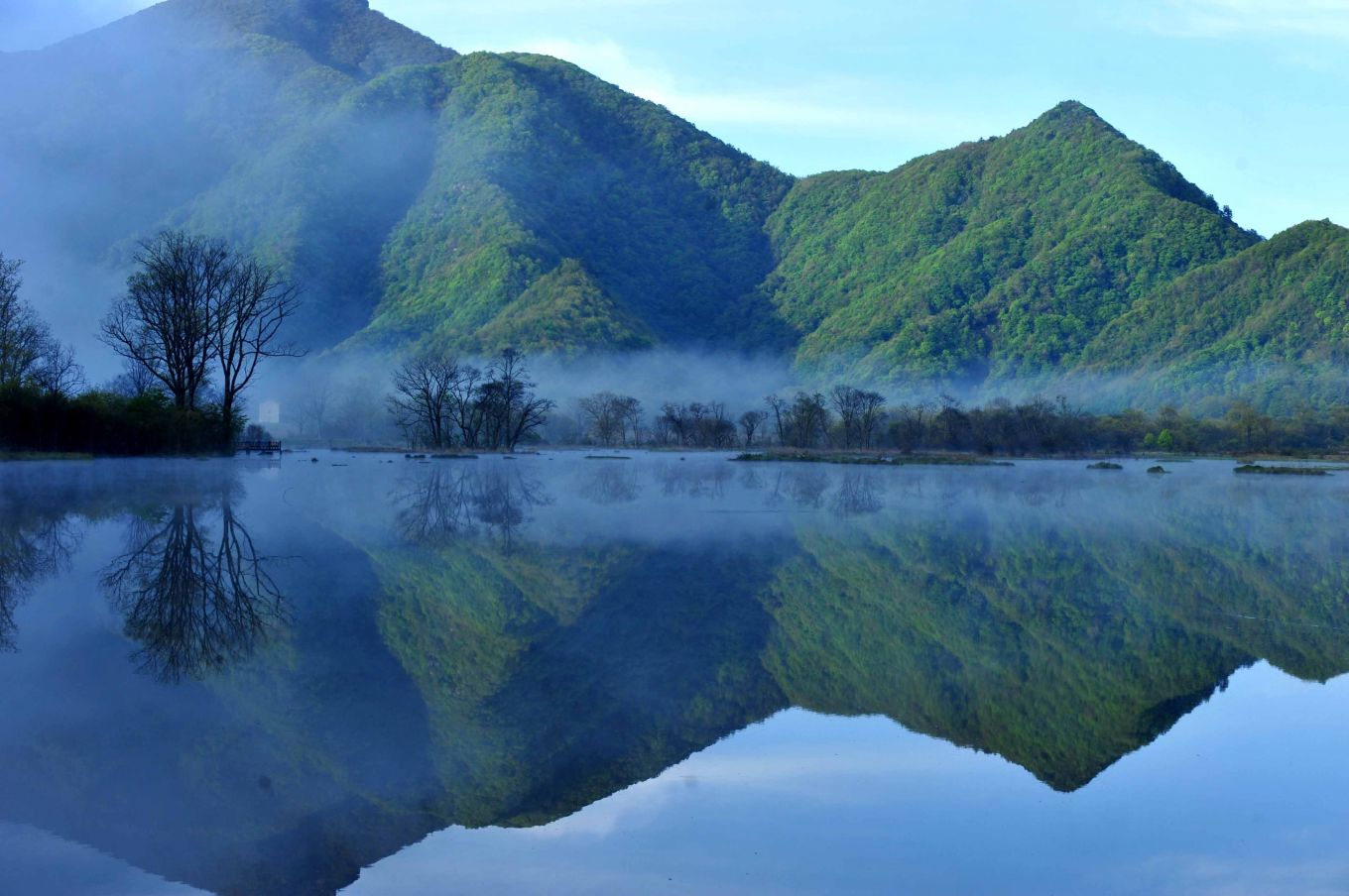 神农架大九湖高山湿地风光(2012年5月16日摄).新华社