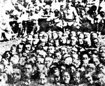 镇压雾社起义后,日军残忍展示所斩下的起义者人头.