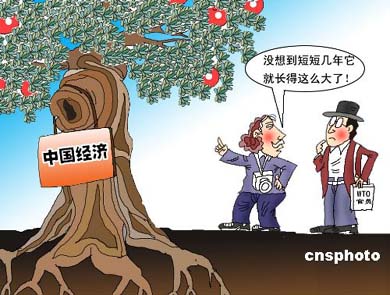 入世使中国经济从量变到质变.