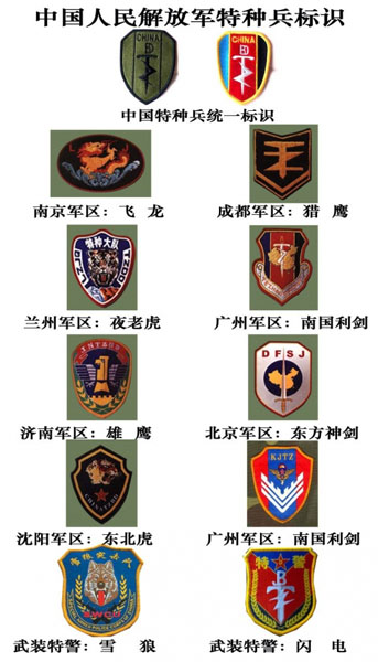 臂章解放军 特种部队图片