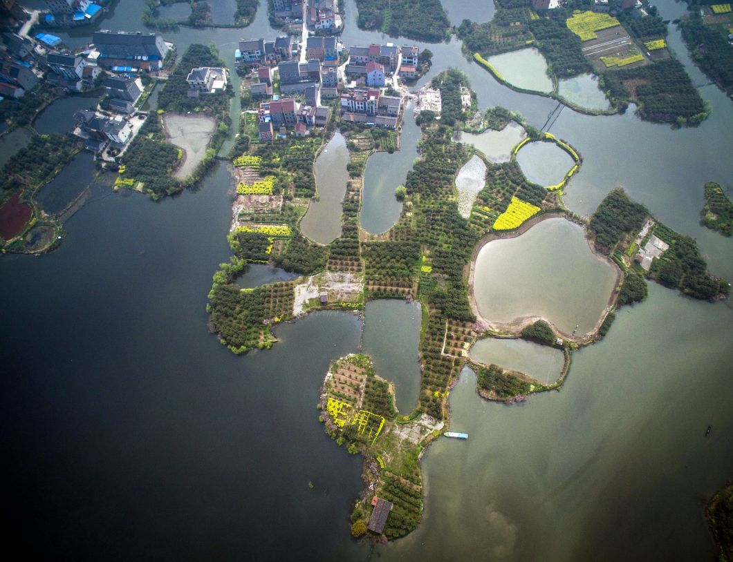 3月29日,空中俯瞰丁山湖湿地,湿地岛屿上种植了大片的枇杷树,油菜和